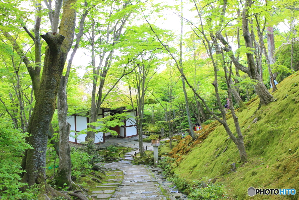 常寂光寺２