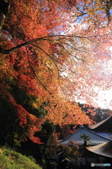 定光寺本堂と紅葉