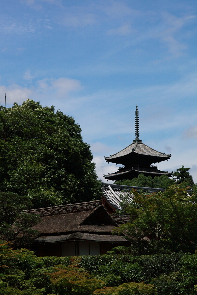 2012.07.15 仁和寺　#5