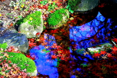 I池と紅葉