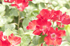20100604004