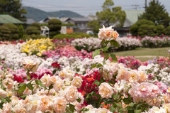 20100604005
