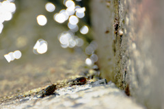 20100614002