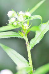 20100607003