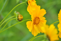 20100607001