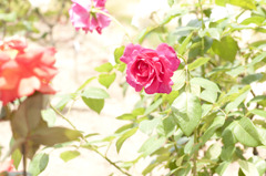 20100604005