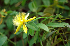 IMGP0290