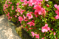 20100611004