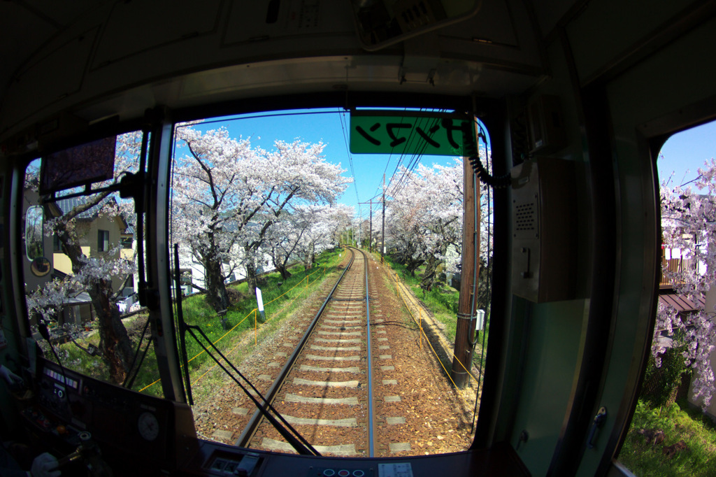 お花見列車から