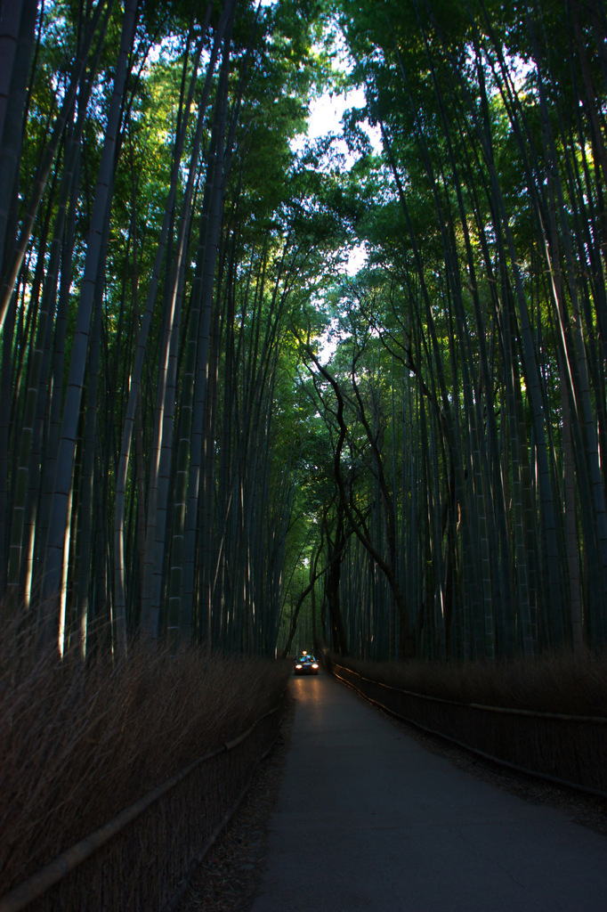 竹林タクシー