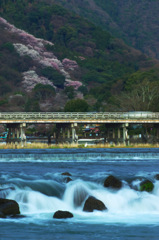 桜嵐山