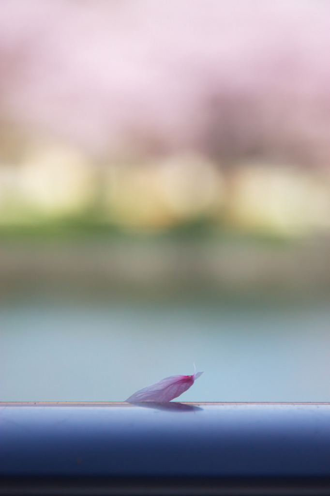 ひとひら