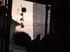 夕暮れ
