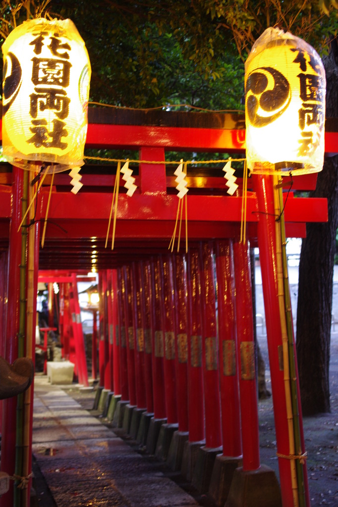 花園神社＠新宿