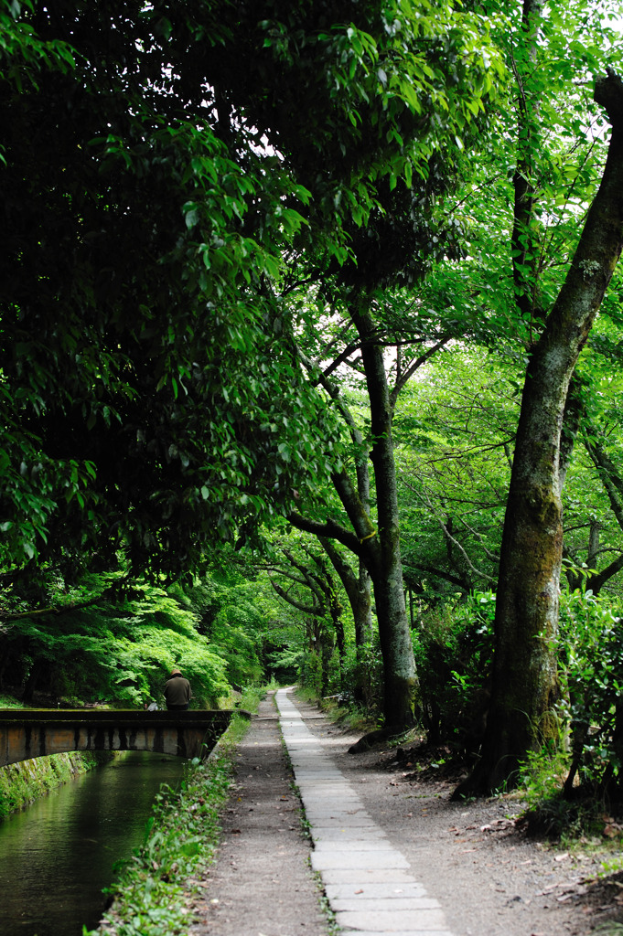 京都　哲学の道。