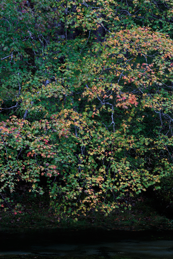 _22I0497