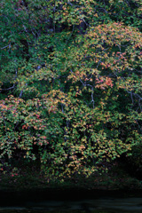 _22I0497
