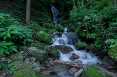 千種川-大釜の滝2012