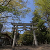 入口入