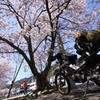 春旅路