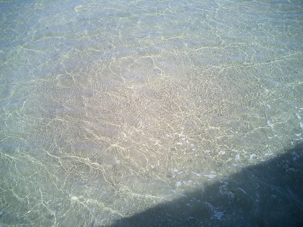 煌く陽光