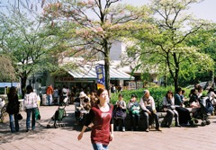春