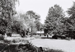 井の頭公園