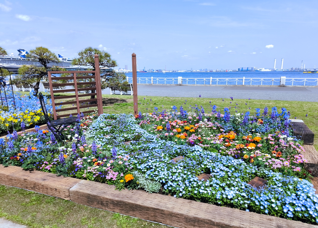花の園