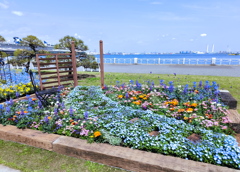 花の園