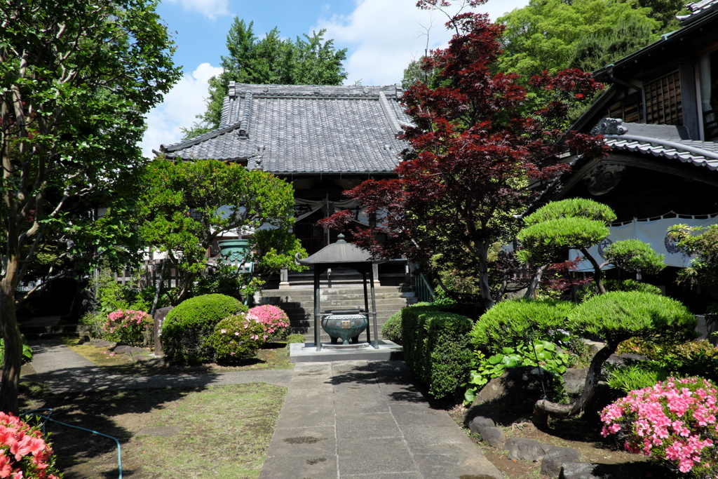 歴史の道「大蓮寺②」