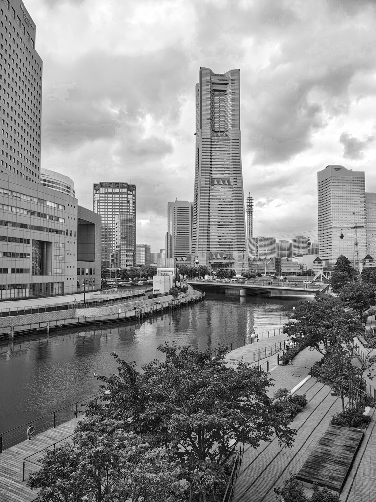 Street Snap