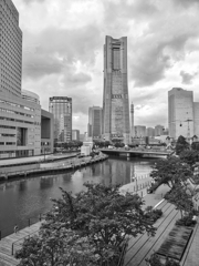 Street Snap