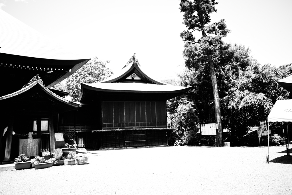 Temple