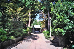 杉山神社