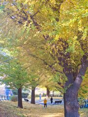 黄葉と遊ぶ女性