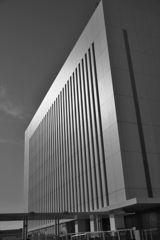 「縦じま模様」