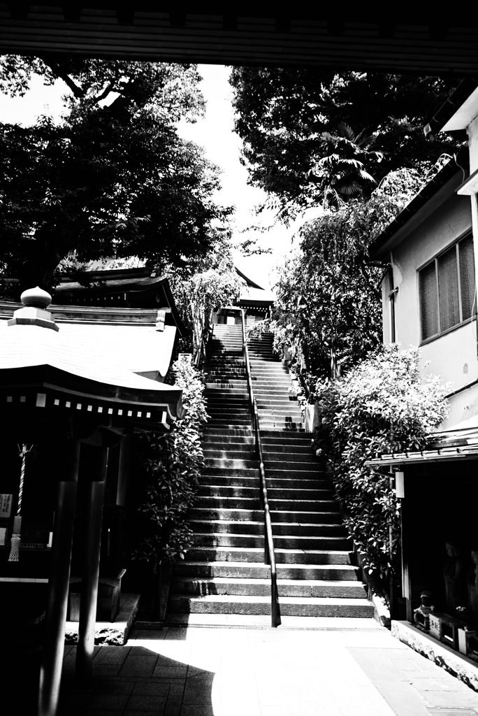 Street Snap