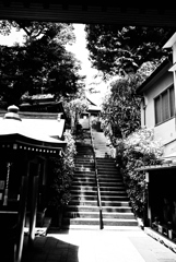 Street Snap