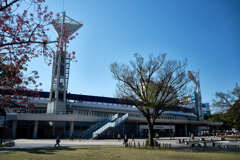 横浜スタジアム