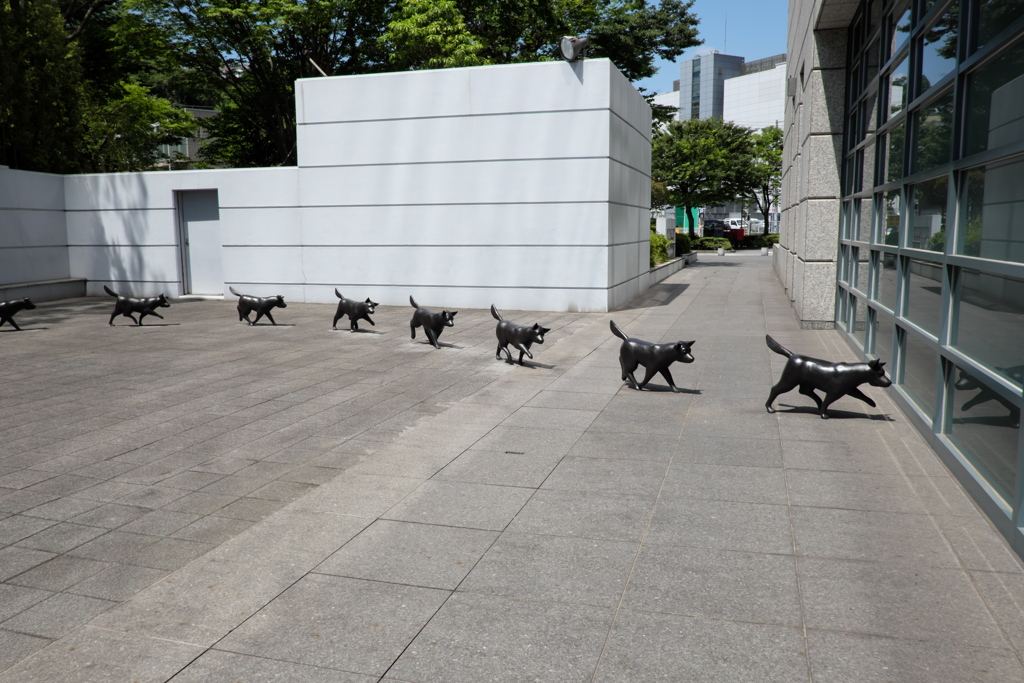 わんちゃんの整列