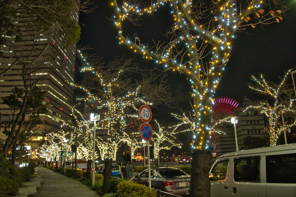 さくら通りの夜景