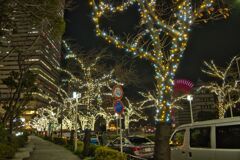 さくら通りの夜景