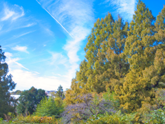 ジェット雲 一直線