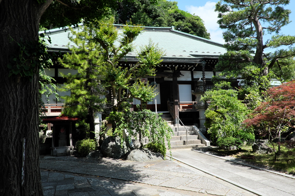 歴史の道「遍照寺⑤」