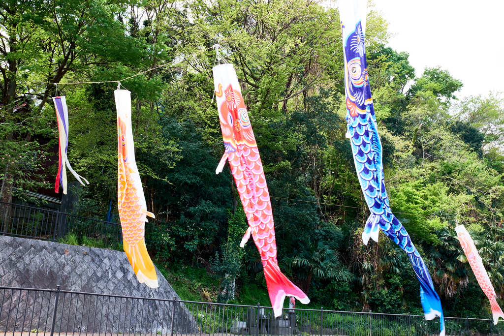 端午の節句「鯉のぼり」