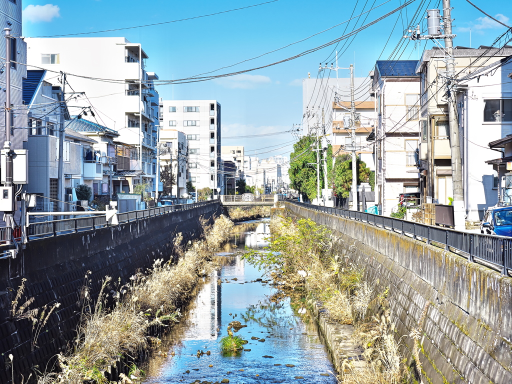 町の川