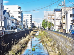 町の川