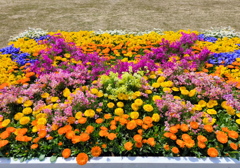 花の園