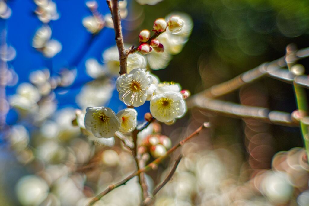 まだ、寒さが、、、