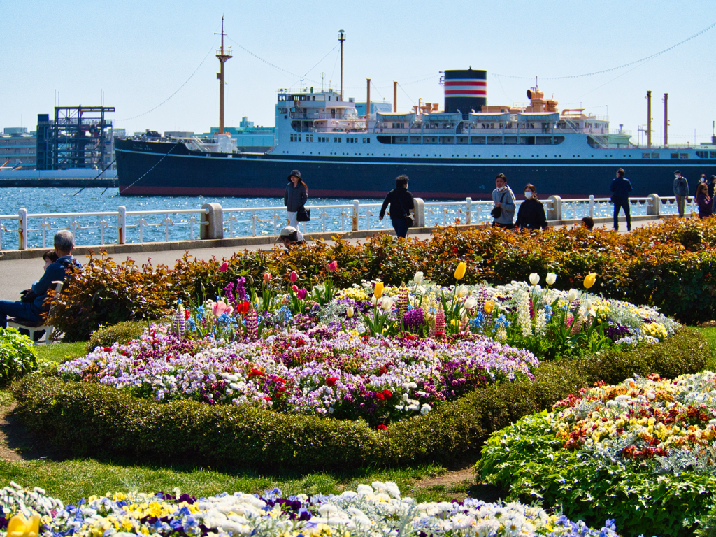 氷川丸を背景に